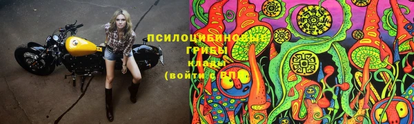 стаф Алексеевка