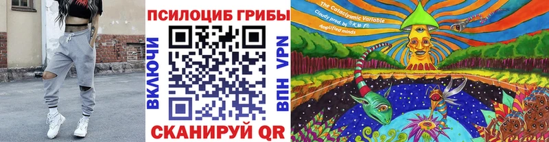 Галлюциногенные грибы Psilocybe Снежногорск